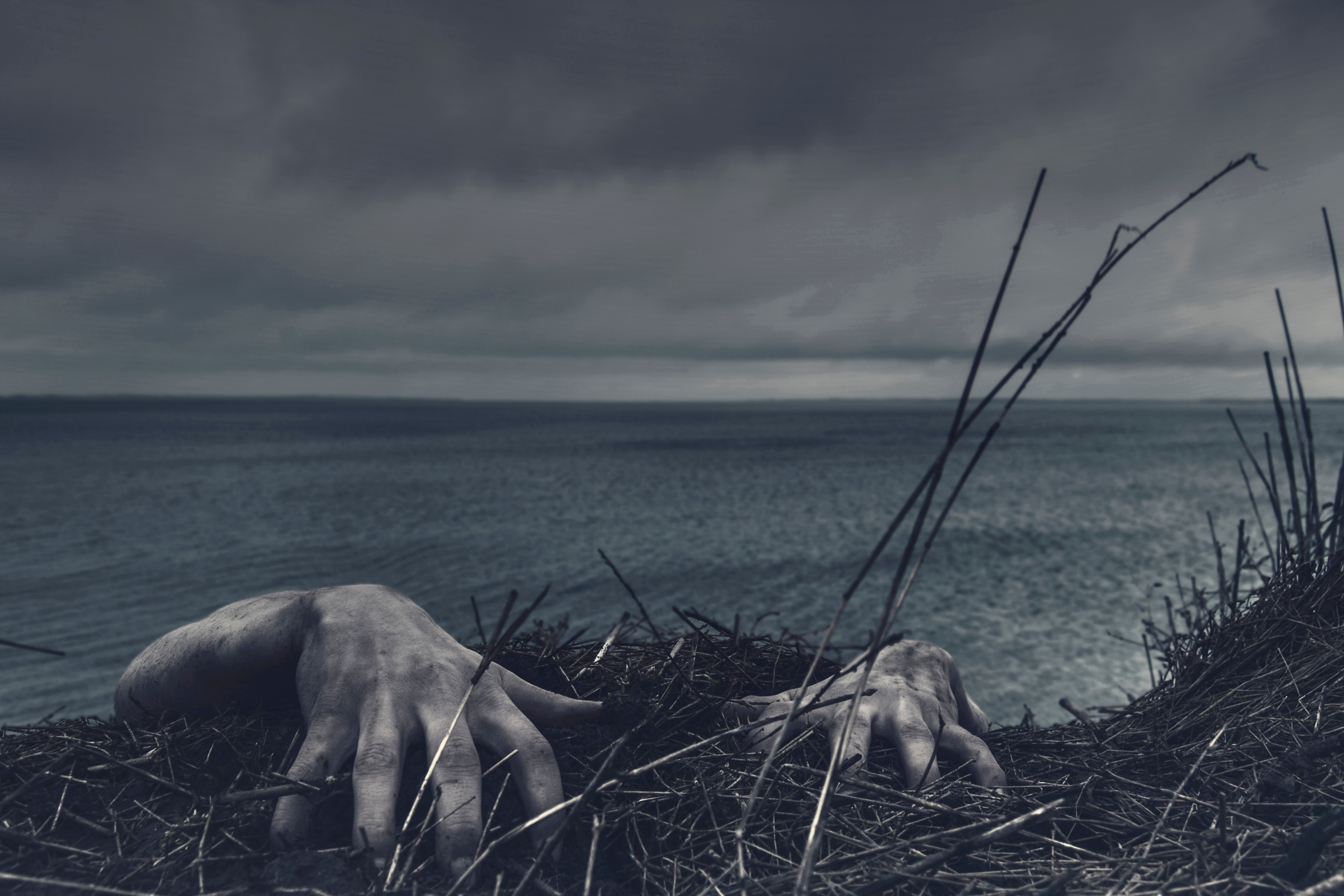 The best horror films of 2023