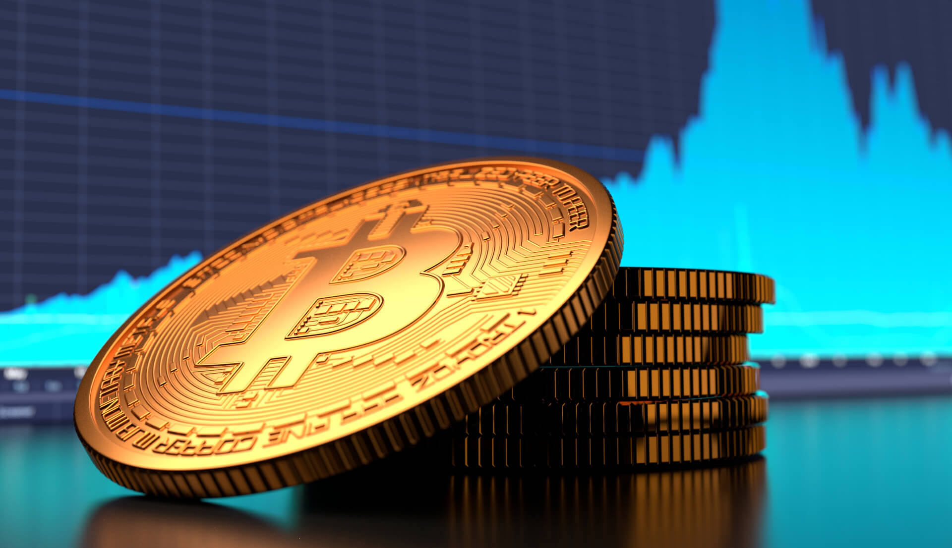 Cryptocurrency Investment Insights for 2024: A Beginner's Guide