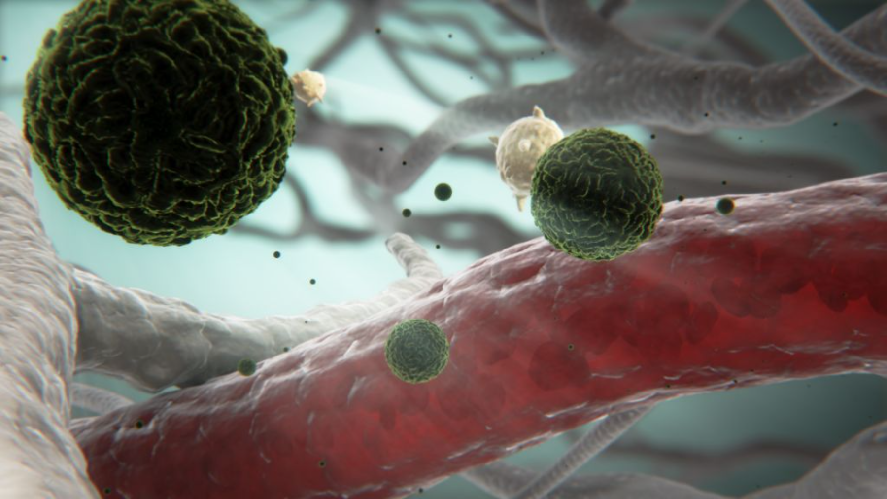Why Do Some Get Sick While Others Stay Healthy? Understanding Viral Susceptibility