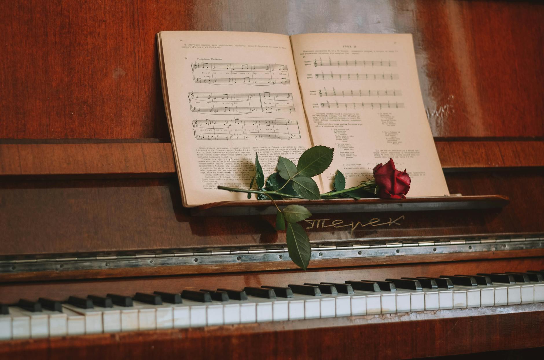 red rose on music book on a wooden piano