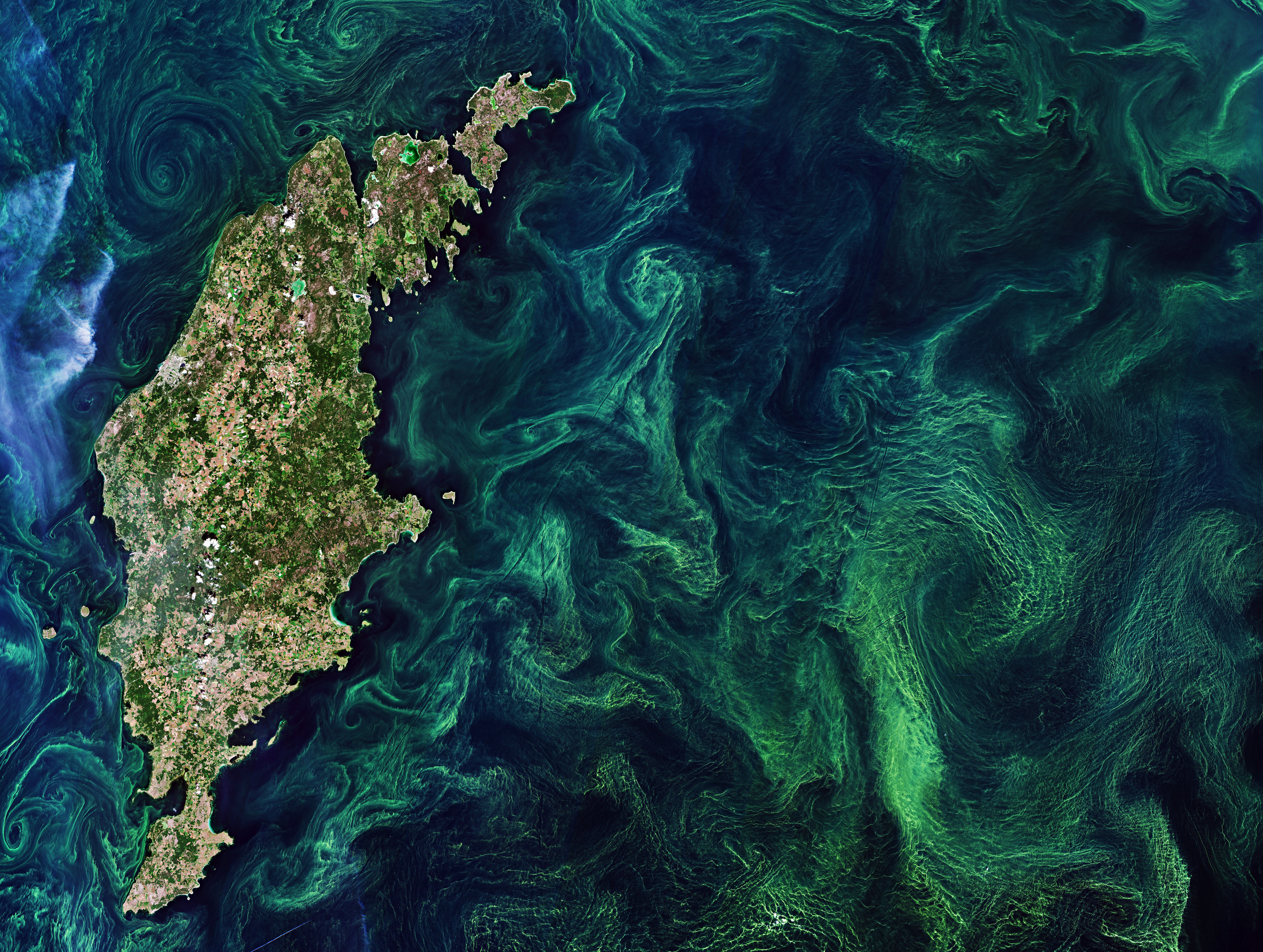 The Copernicus Sentinel-2 mission takes us over of the green algae blooms swirling around the Baltic Sea