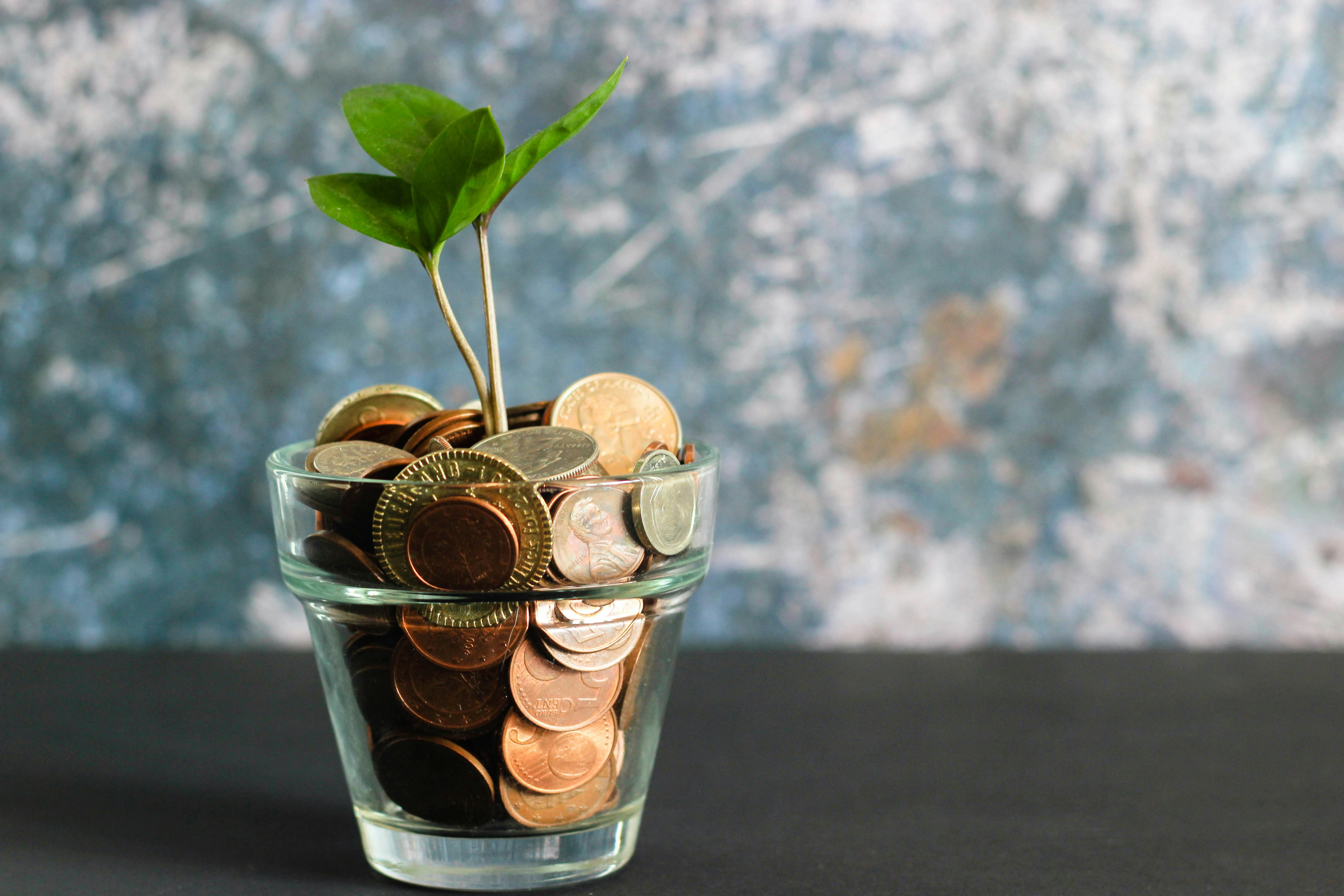 Top High-Yield Savings Accounts and Neobanks Offering the Best APY